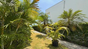 A pathway flanked by lush greenery and a white building. - Oceanfront Villa | Private Pool | Jama Campay (Camarones)