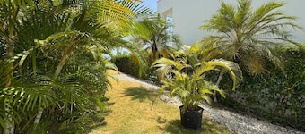 Oceanfront Villa | Private Pool | Jama Campay