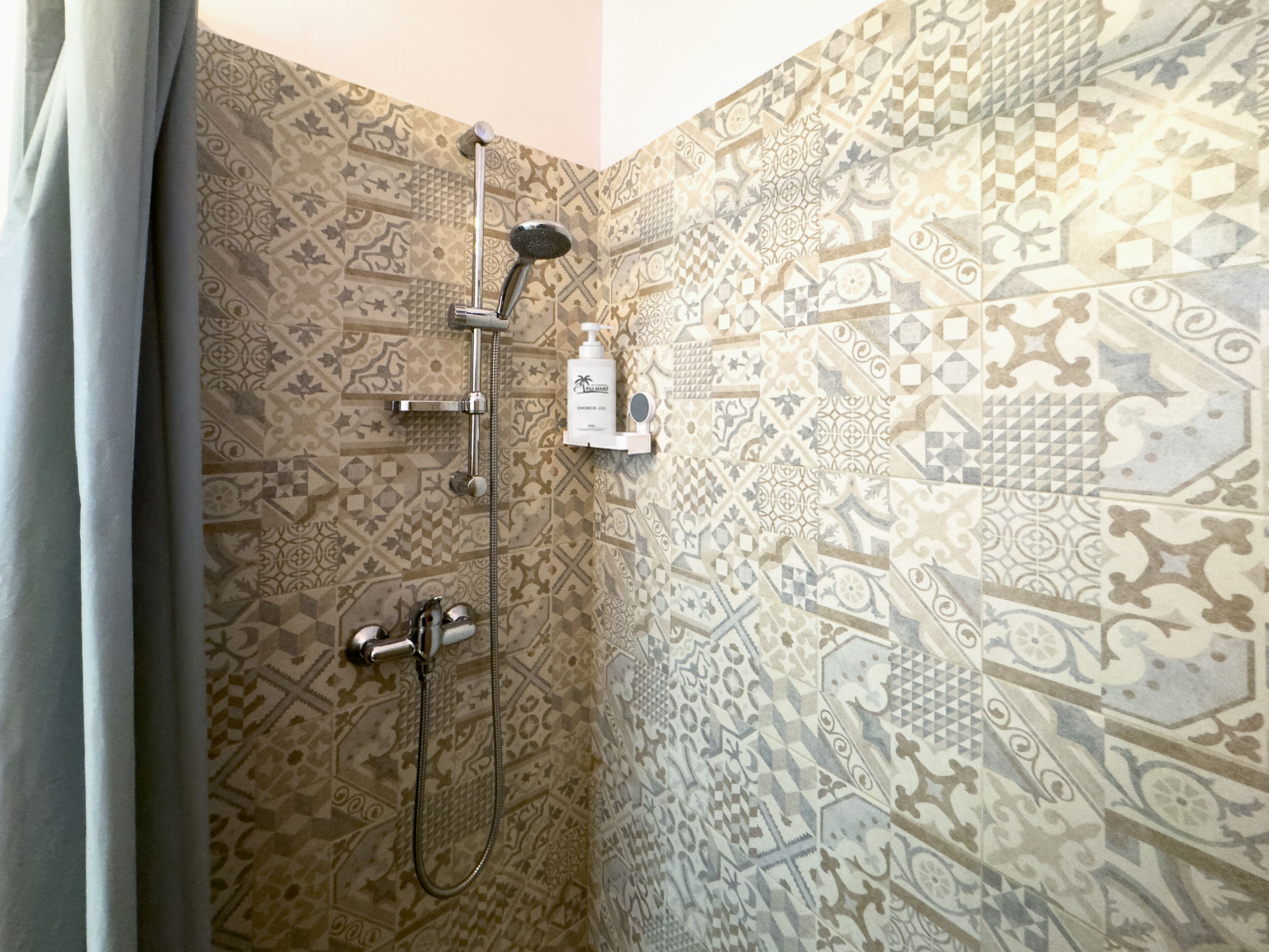 Une douche équipée d’un pommeau de douche à main et d’un robinet fixé au mur.