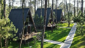 A row of A-frame cabins in a forested area with a paved walkway.