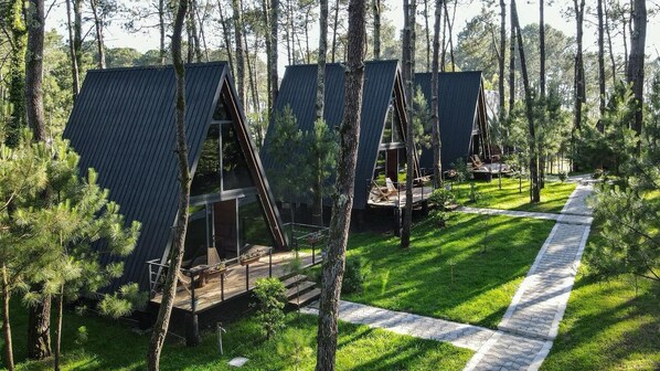 A row of A-frame cabins in a forested area with a paved walkway.