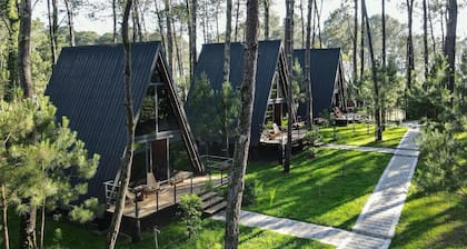 Seaside A-Frame Cottage for Couples and Families near Ureki Beach