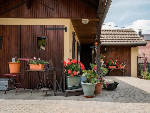 Terraza o patio