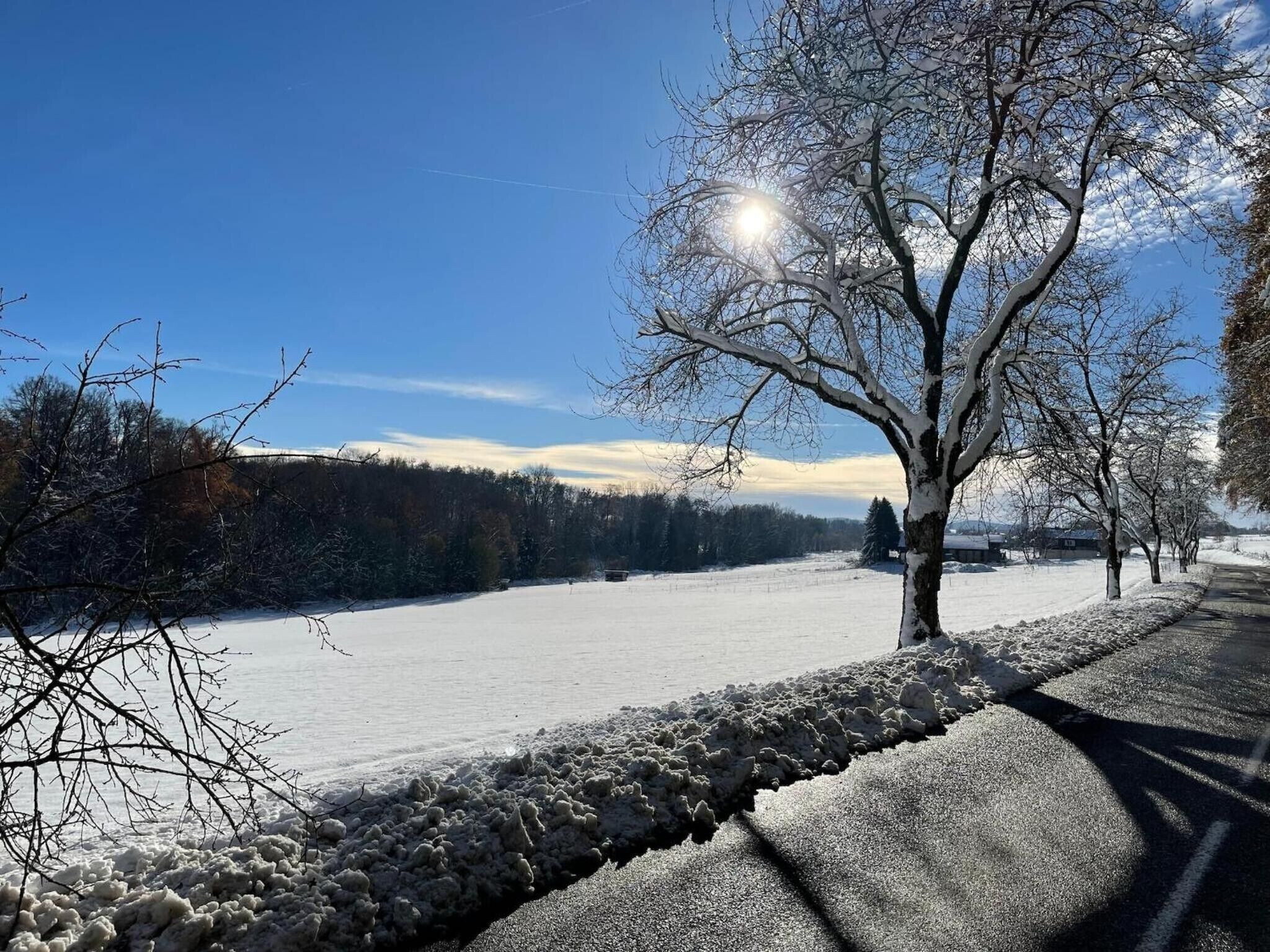 Paisagem coberta de neve, com uma árvore em primeiro plano e céu claro.