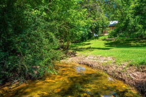 Eine natürliche Landschaft mit einem Bach, üppiger Vegetation und einem Gebäude im Hintergrund.