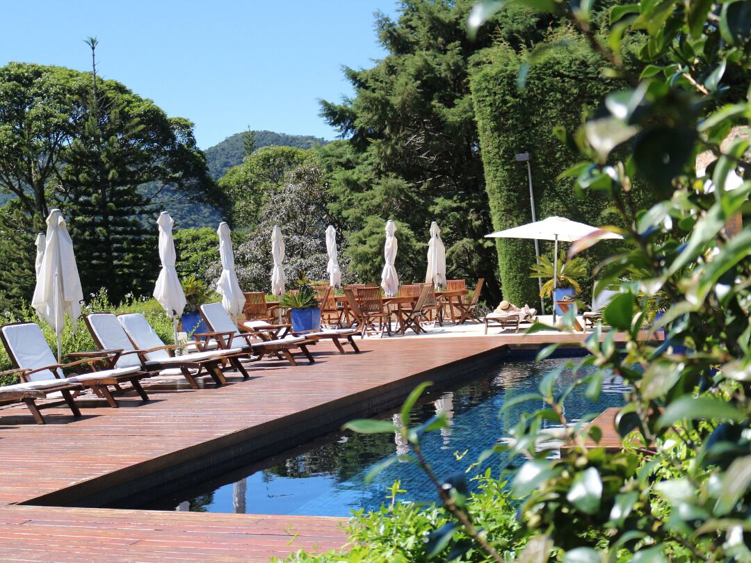 Zona de piscina con sillones de descanso y sombrillas, rodeada de vegetación y árboles.