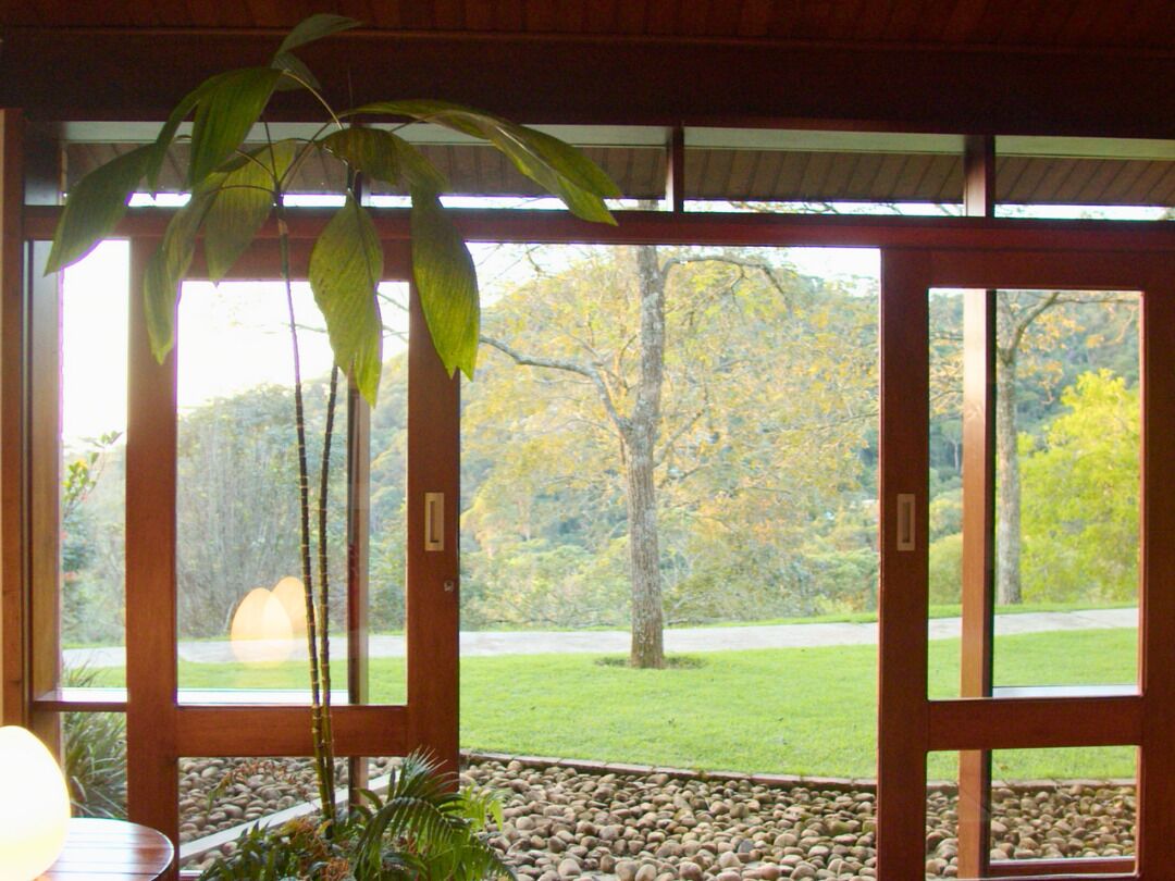 Quarto com uma janela grande, uma planta e vista para uma árvore e área gramada.