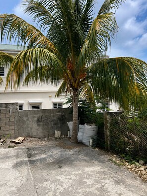 A concrete courtyard with a palm tree, a white building with windows, and a chain-link fence. - Vibra Lux Island Escape Cozy 1BR Near Beaches & Philipsburg (Philipsburg)