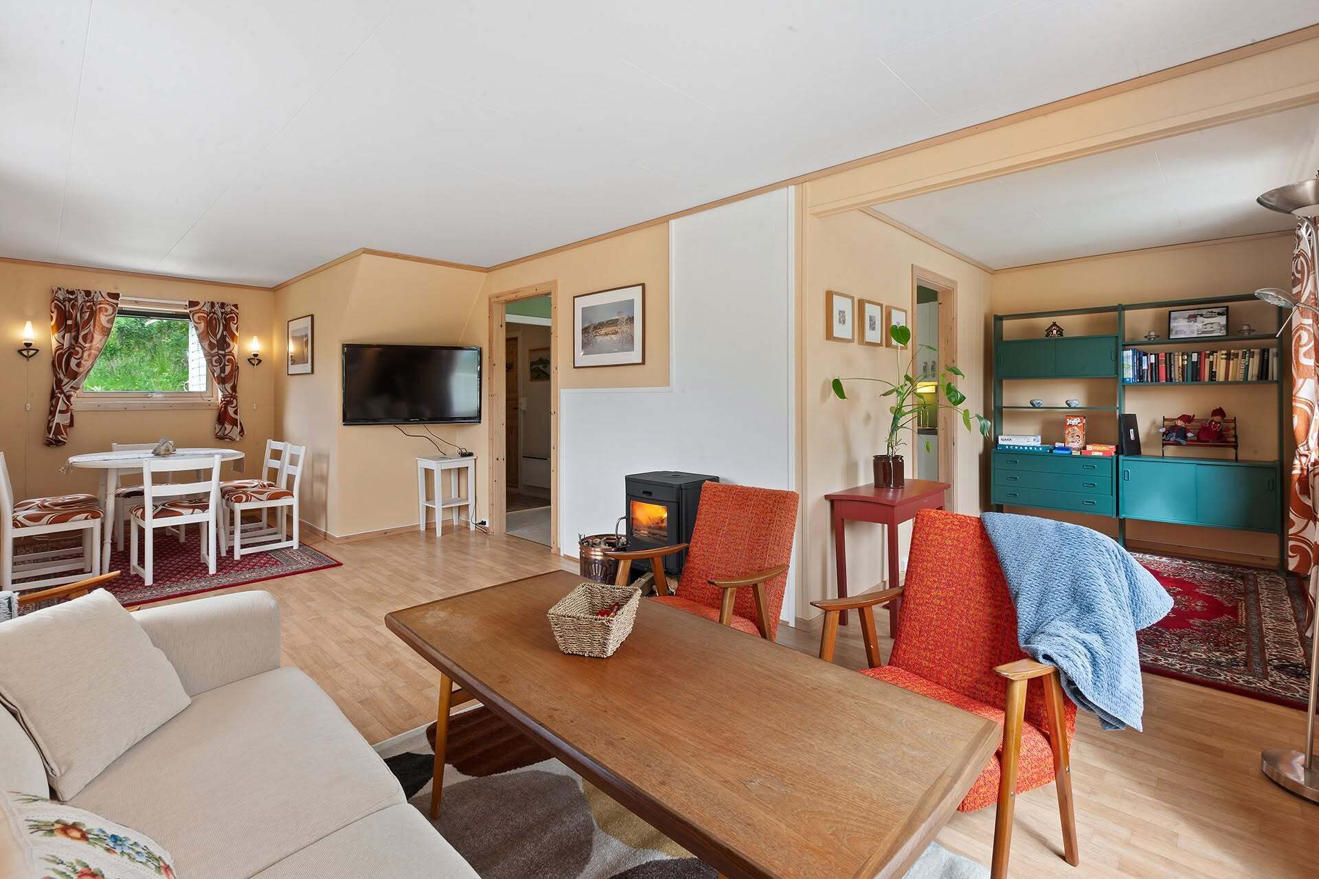 Smart TV, fireplace, books