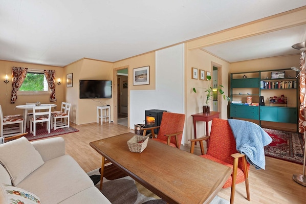 Smart TV, chimenea y libros