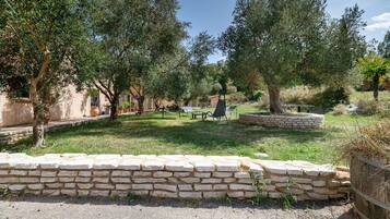 Une cour bordée de murs en pierre, avec des espaces de repos en plein air et des oliviers.