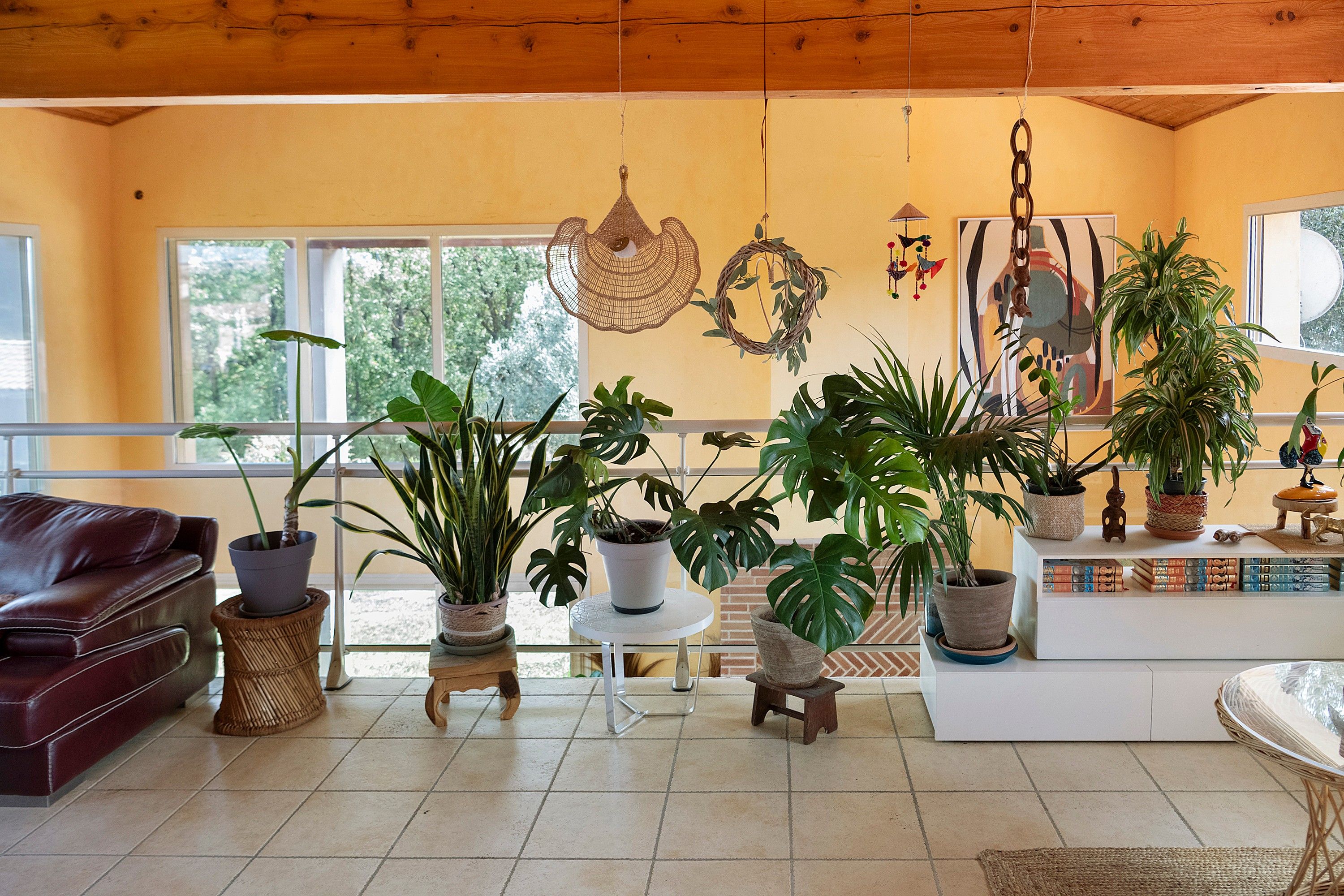 A living room with a leather sofa, multiple potted plants, a small round table, and a bookshelf with books.