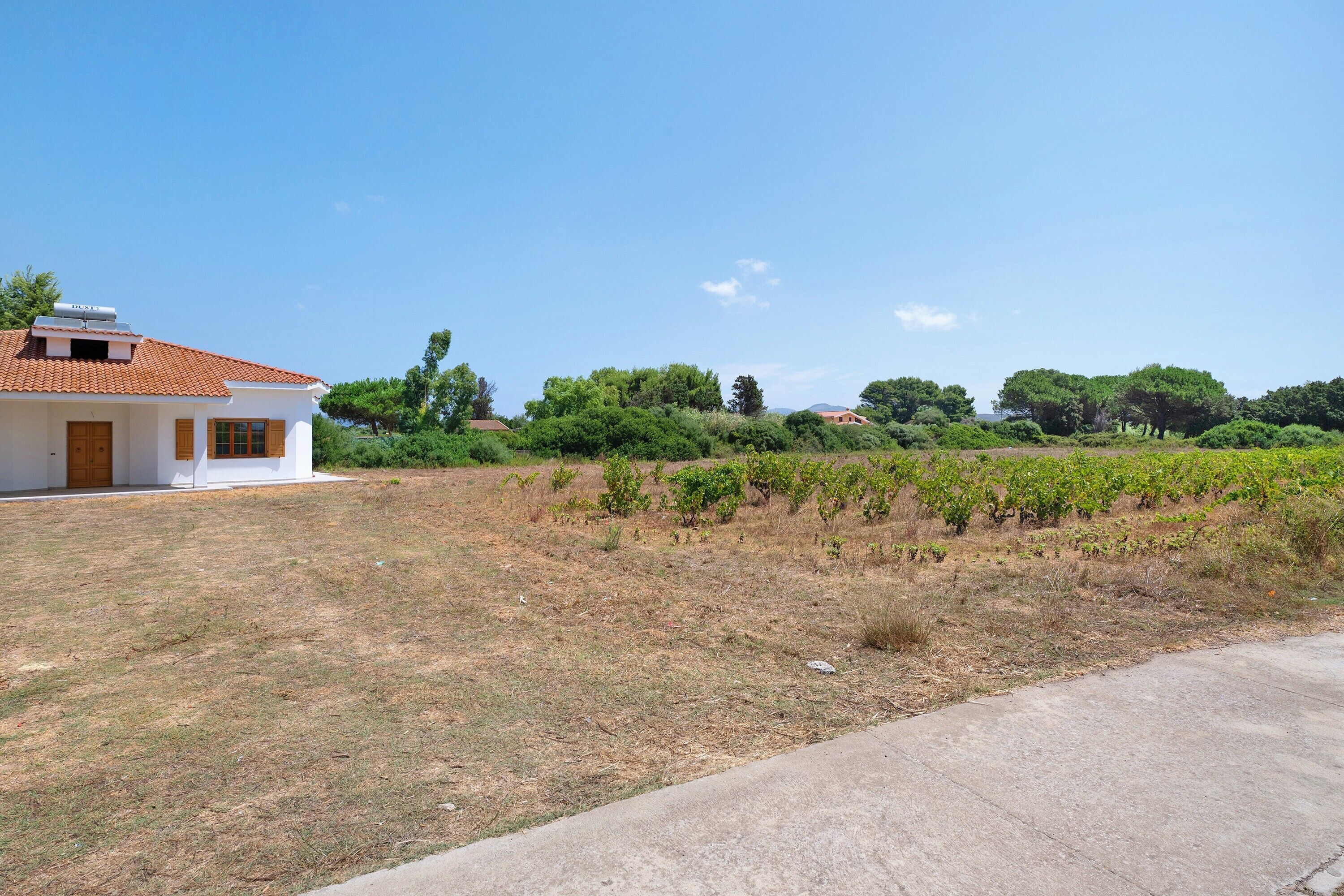 Un bâtiment blanc surmonté d’un toit recouvert de tuiles rouges, avec une pelouse et un vignoble en arrière-plan.