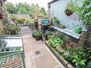 A stone wall with potted plants and a green watering can.