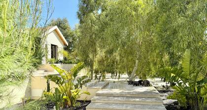 Kenz Essia Luxury Countryside Escape Near Tunis