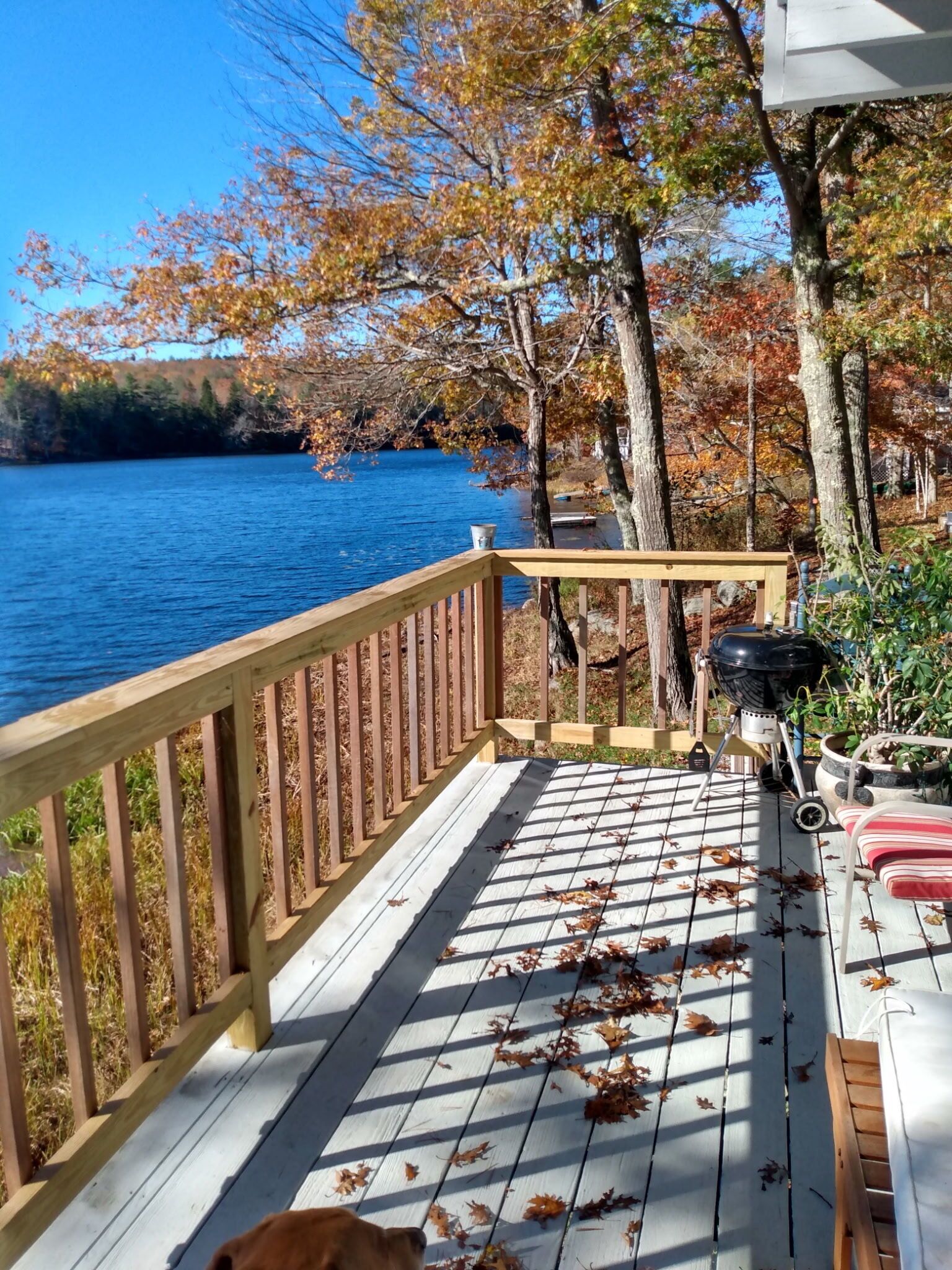 A wooden deck with a railing overlooking a lake, a grill, and a dog.