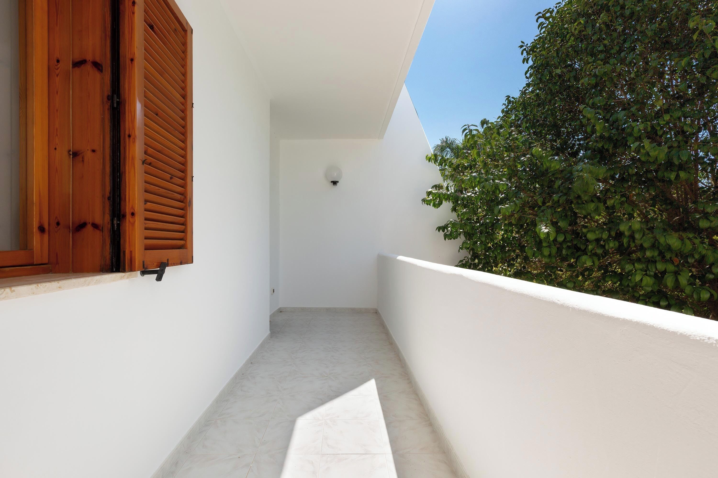 Un balcon étroit aux murs blancs, agrémenté d’un volet en bois et d’une plante en pot.