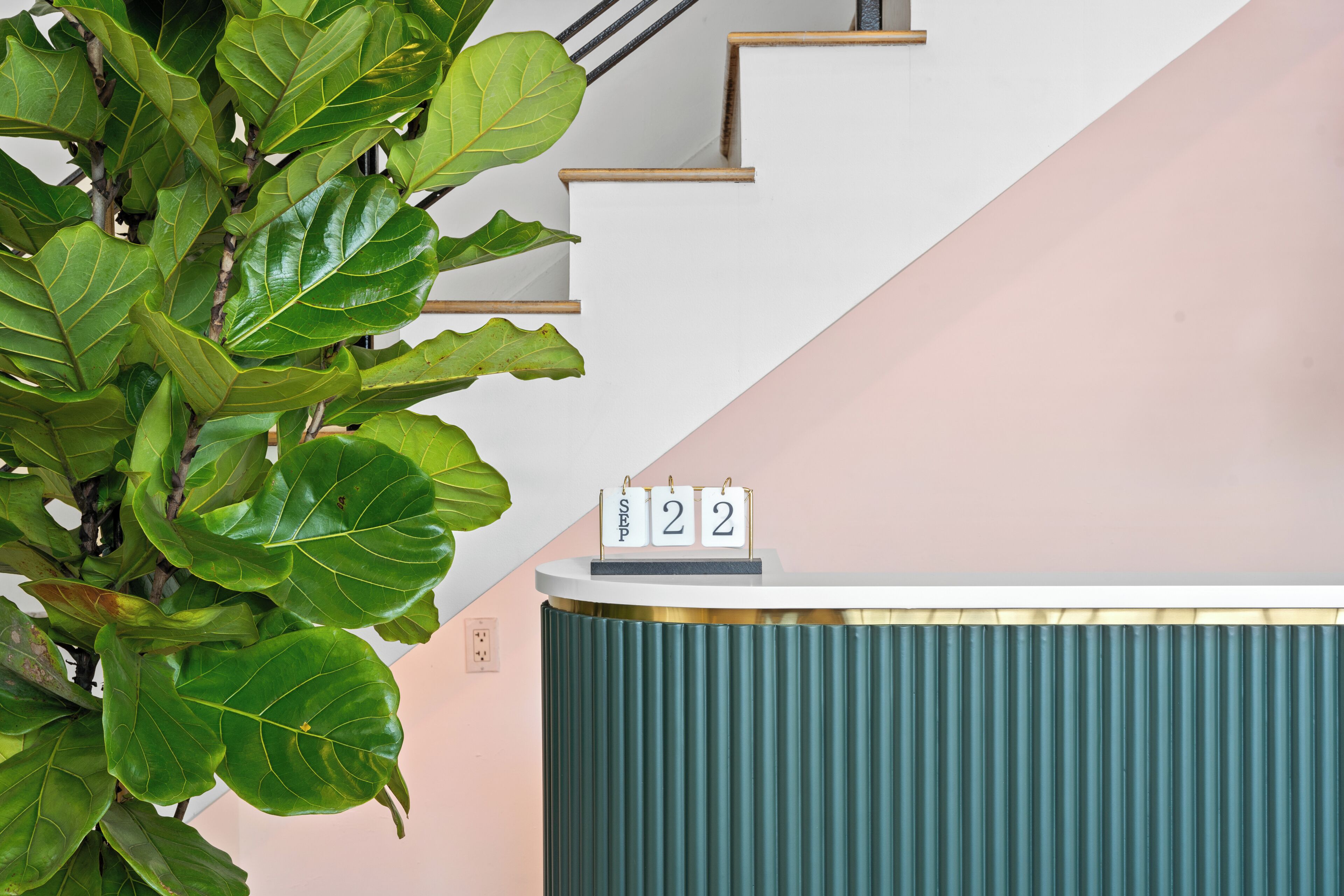 Un mostrador de recepción con un calendario que muestra la fecha, una escalera y una planta de hojas verdes grandes.