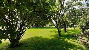Un área verde con árboles y un edificio pequeño al fondo.