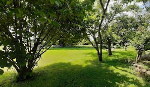 Un área verde con árboles y un edificio pequeño al fondo.