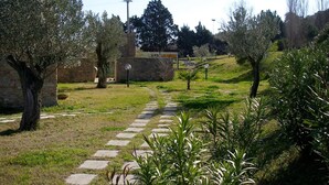 A stone pathway leading through a landscaped garden with olive trees and a stone wall. - Room 'Il Pero Selvatico, Doppia' with Shared Garden, Wi-Fi and Air Conditioning (Roccelletta)