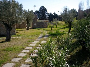 Un sendero de piedra que atraviesa un jardín ajardinado con olivos y un muro de piedra.