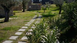 Un sendero serpentea por un jardín ajardinado con escalones de piedra, rodeado de diferentes árboles y arbustos.