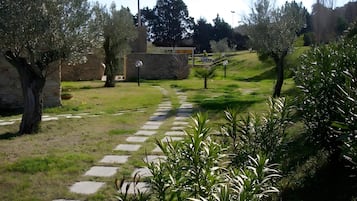 Área da propriedade