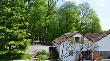 Un quartier résidentiel avec une maison blanche, une allée et un grand arbre.