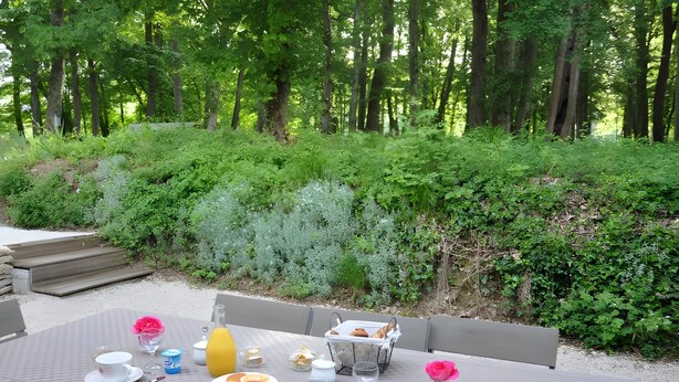 An outdoor dining area with a table set for breakfast, surrounded by lush greenery and trees. - Air-conditioned Gîte "La Maison du Parc" with Private Pool near Nuits-Saint-Georges (Argilly)