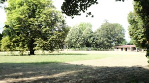 A fenced outdoor area with trees and a building in the background.