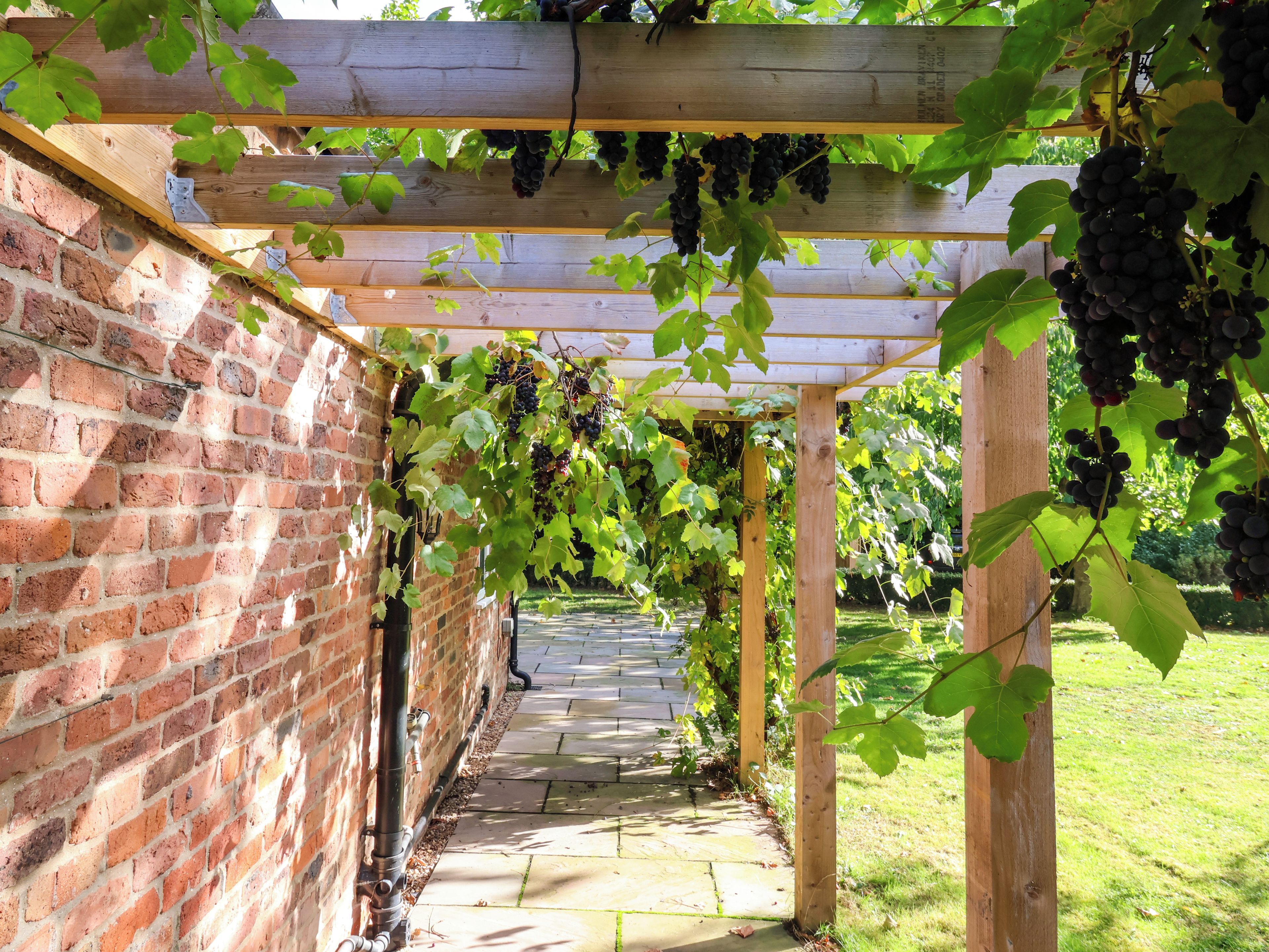 Tiiliseinä, jonka yläosassa on puinen pergola, joka tukee viiniköynnöksiä.
