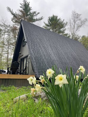 A modern house with a sloped roof, a deck with chairs, and daffodils in the foreground.