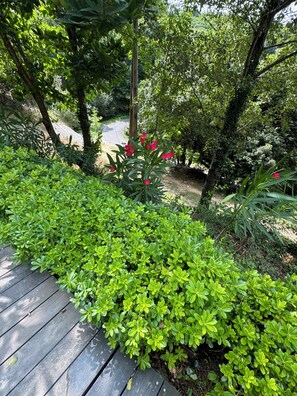 A wooden deck surrounded by lush green foliage and a variety of plants. - House in the heart of nature (Gabriac)