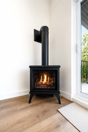 A black wood-burning stove with a glass front, positioned in a corner of a room with wooden flooring.