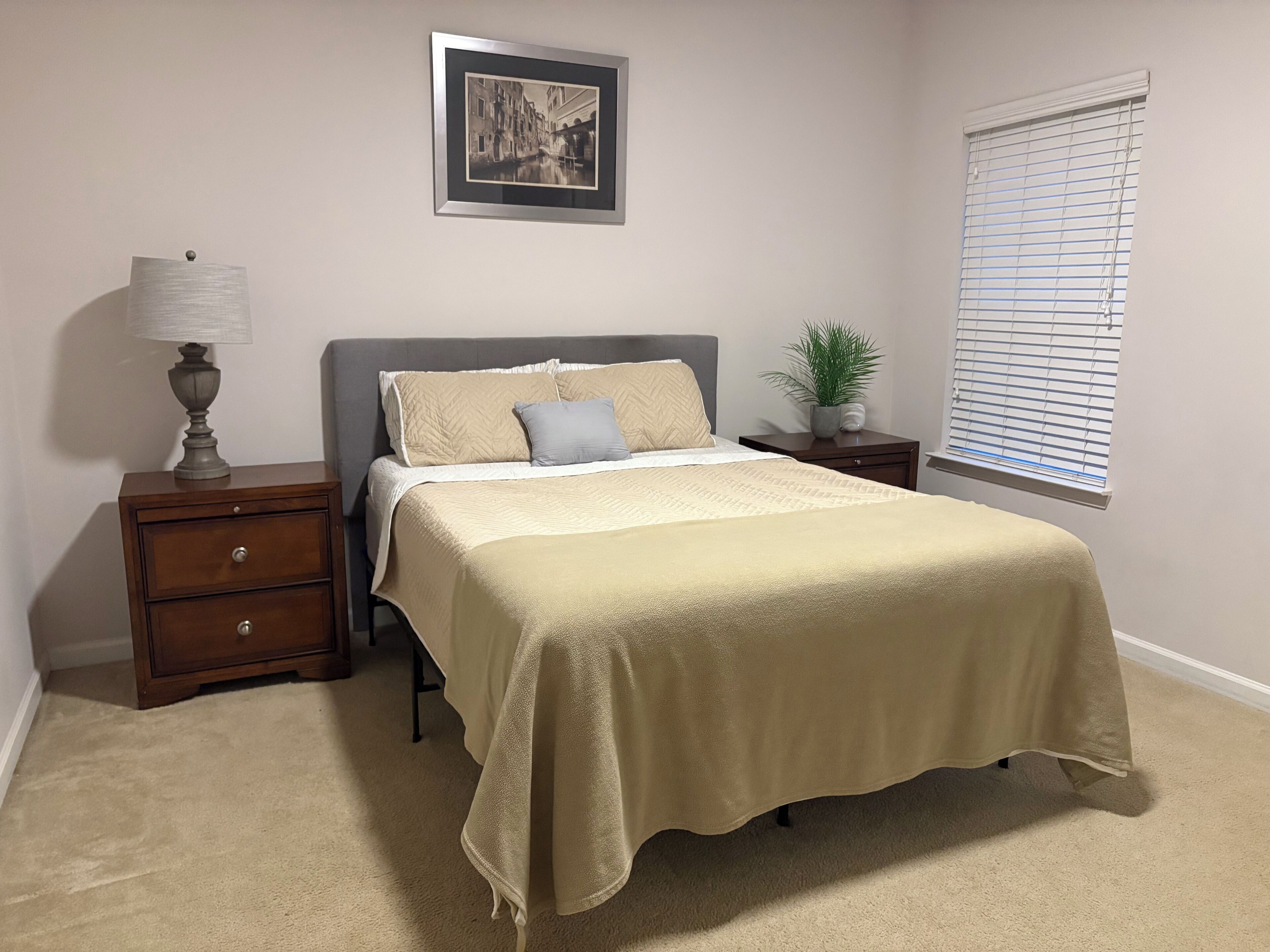 A bedroom with a bed, nightstand, lamp, potted plant, and a window with blinds.