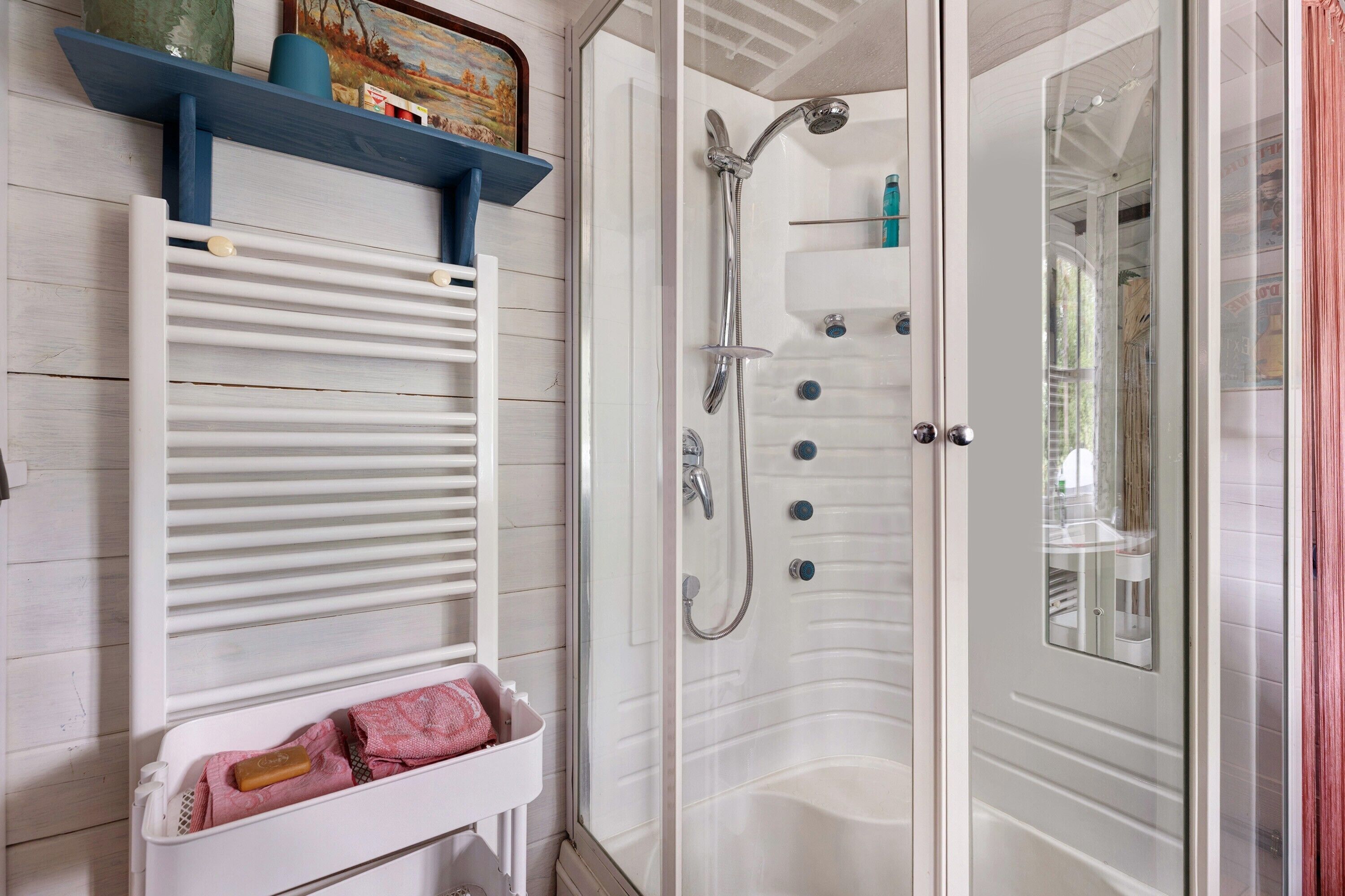 Shower, hair dryer, towels