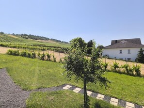 A vineyard with rows of grapevines, a white building with a tiled roof, and a small tree in the foreground. - Vacation Rental 180° MOSEL Panoramic View (Neumagen-Dhron)