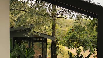 Casa, con acceso para personas discapacitadas | 1 habitación y internet