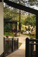 A wooden deck leading to a covered outdoor area with a pergola, surrounded by lush greenery and various plants.
