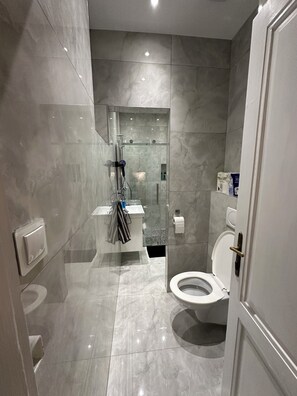 Dusche, Haartrockner, Handtücher, Seife