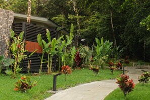 Un sendero conduce a un edificio moderno con fachada de piedra y techo de listones.
