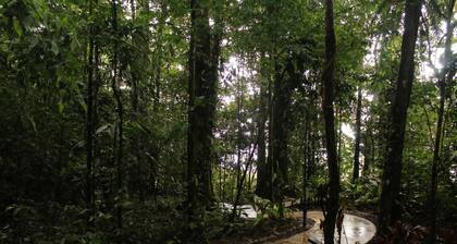 Villa Jaguar Nuak Jungle