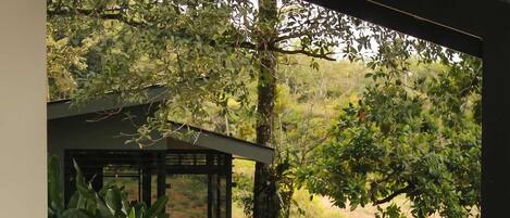 A wooden deck leading to a covered outdoor area with a pergola, surrounded by lush greenery and various plants.