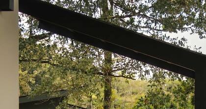 Villa Jaguar Nuak Jungle