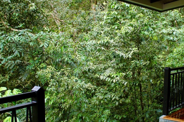 House, Accessible | 1 bedroom, high-speed internet