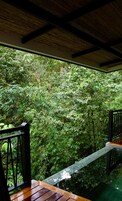 Terraza de madera con barandilla metálica que da a un bosque frondoso y una piscina cristalina.