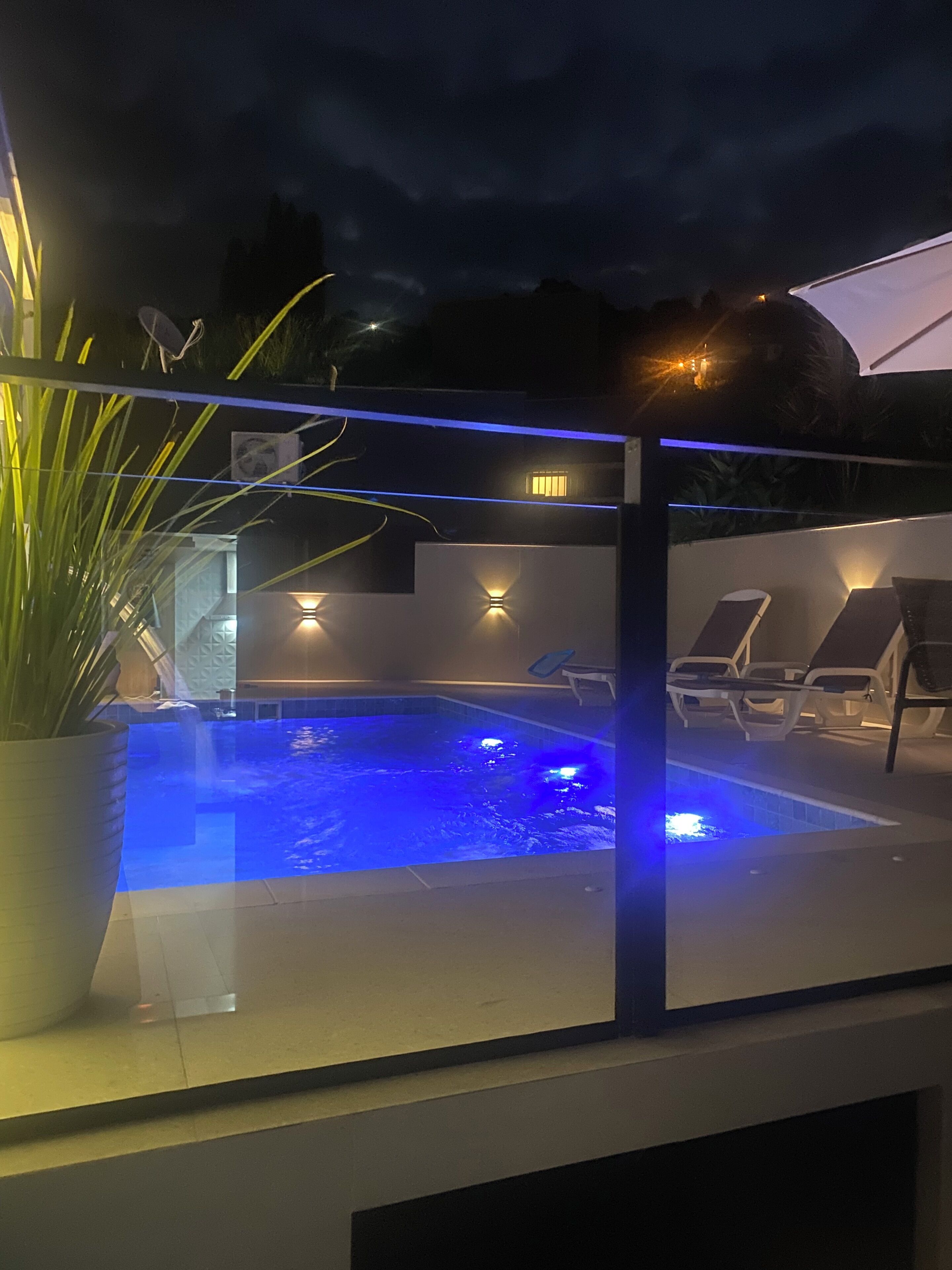 En udendørs swimmingpool med en glasafskærmning, liggestole og en potteplante.