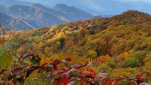 Een bergachtig landschap met herfstkleuren.