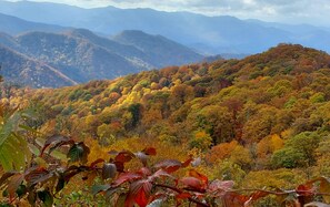 Un paysage montagneux aux couleurs automnales.